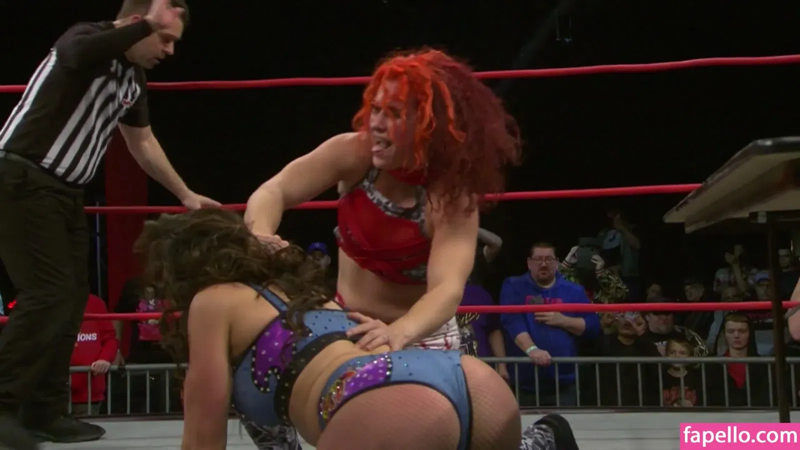 Mickie James Onlyfans Photo Gallery 