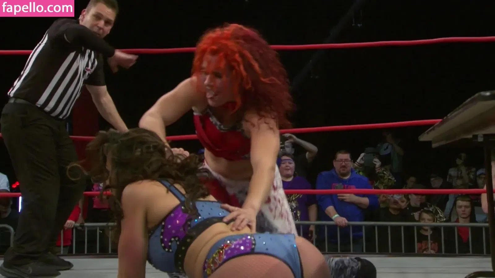 Mickie James Onlyfans Photo Gallery 