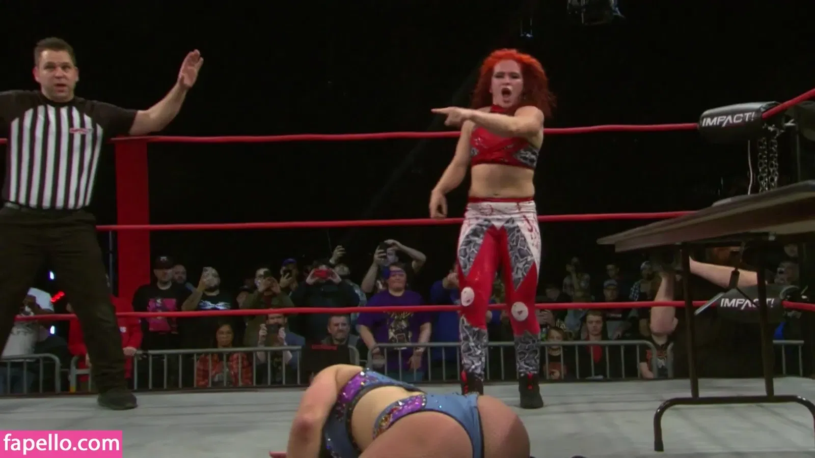 Mickie James Onlyfans Photo Gallery 