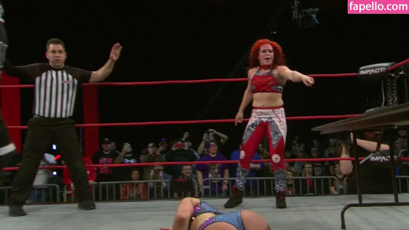 Mickie James Onlyfans Photo Gallery 