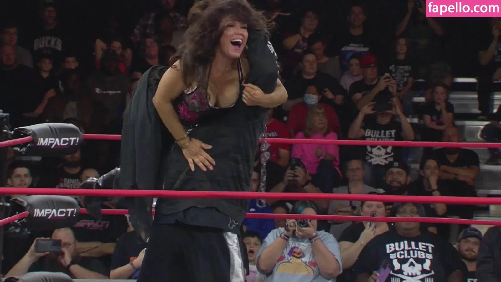 Mickie James Onlyfans Photo Gallery 