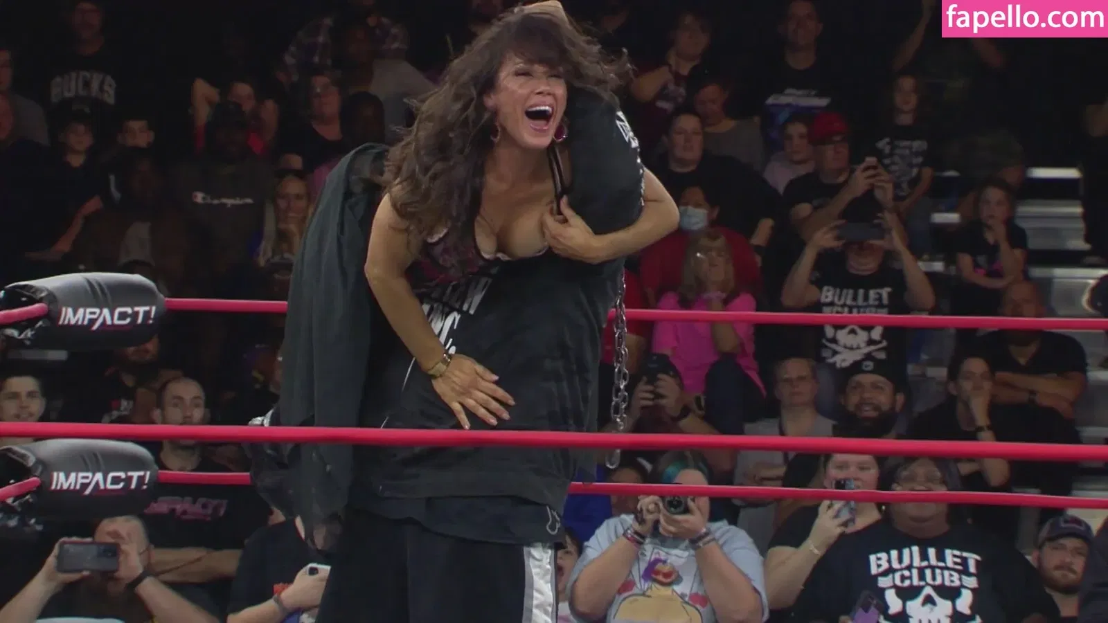 Mickie James Onlyfans Photo Gallery 