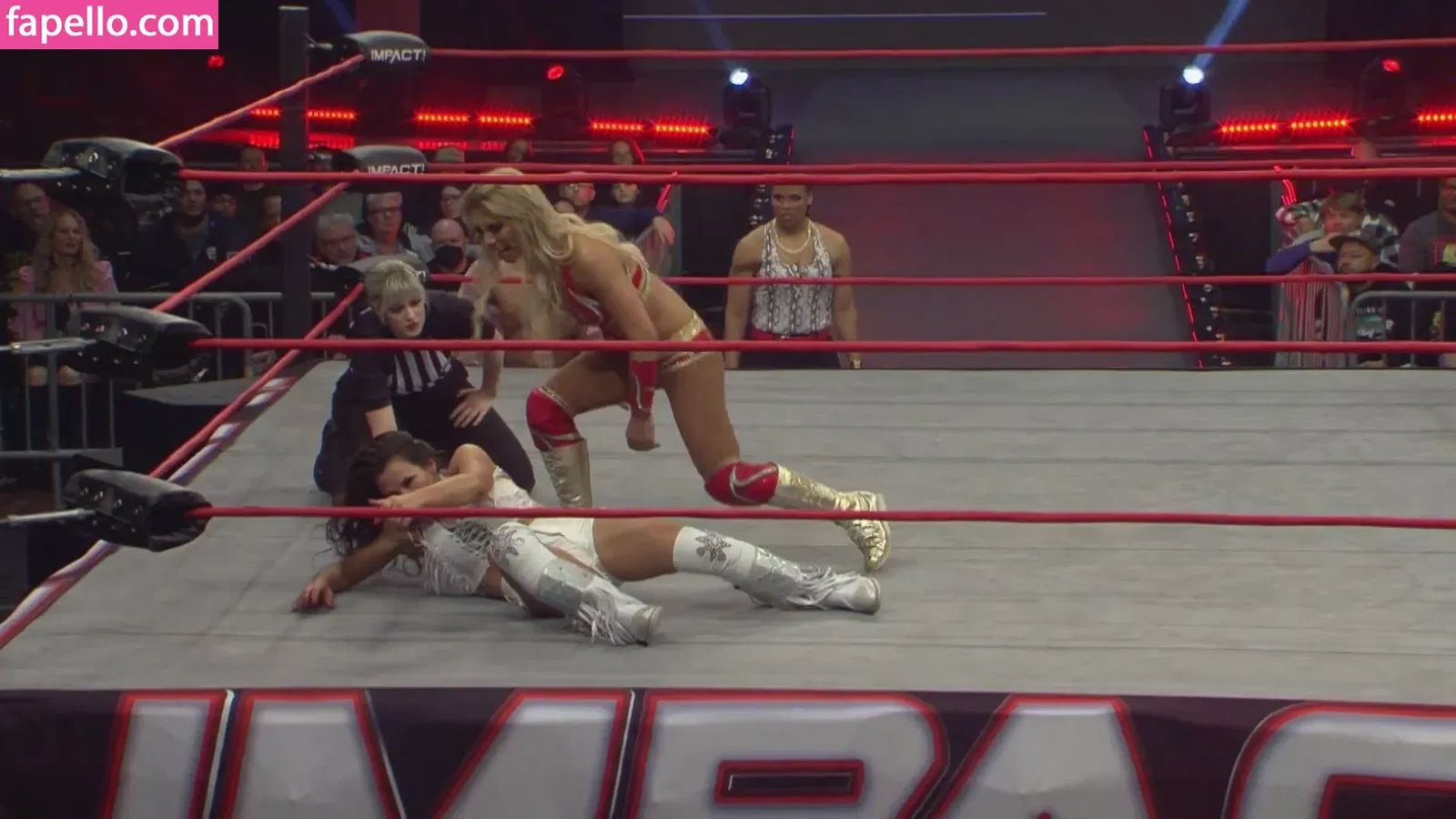 Mickie James Onlyfans Photo Gallery 