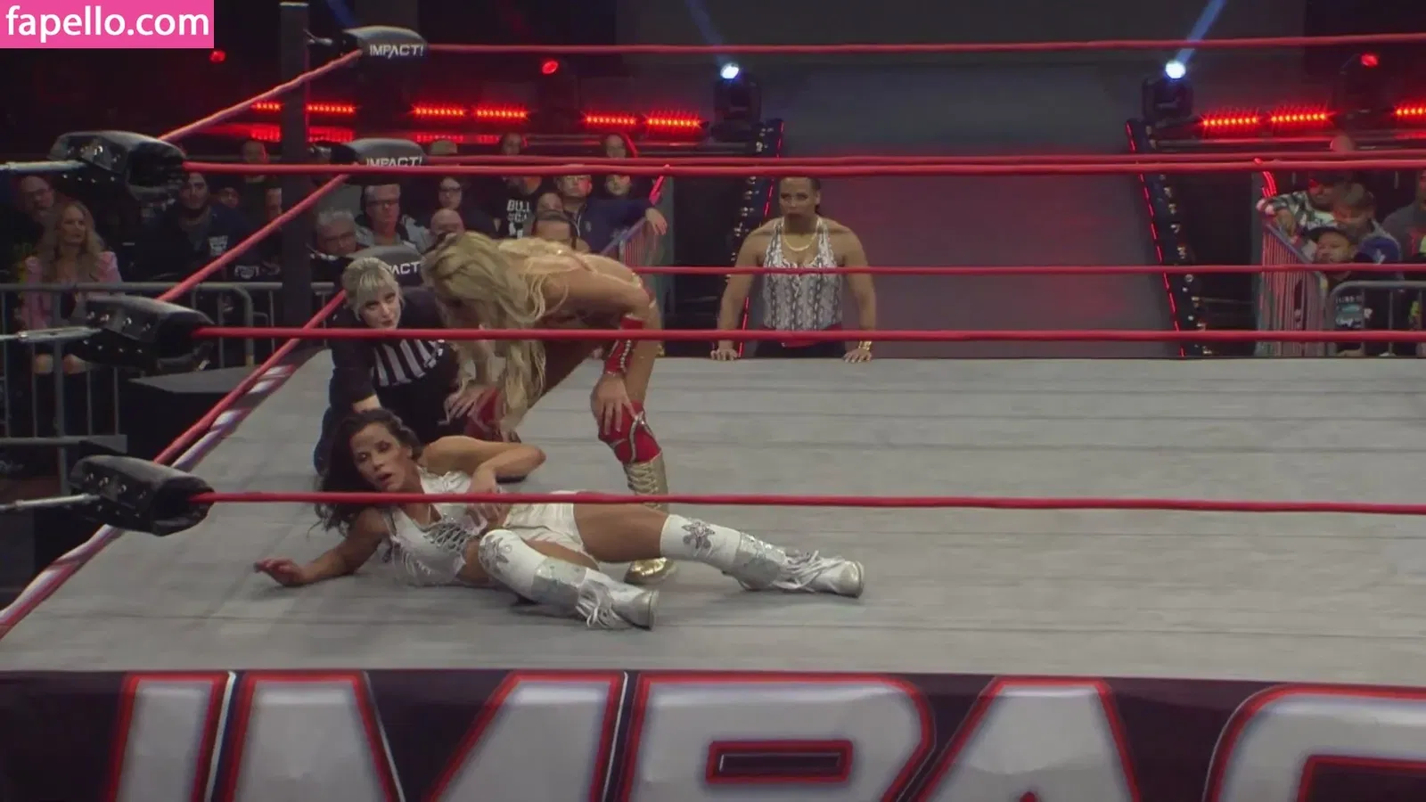 Mickie James Onlyfans Photo Gallery 