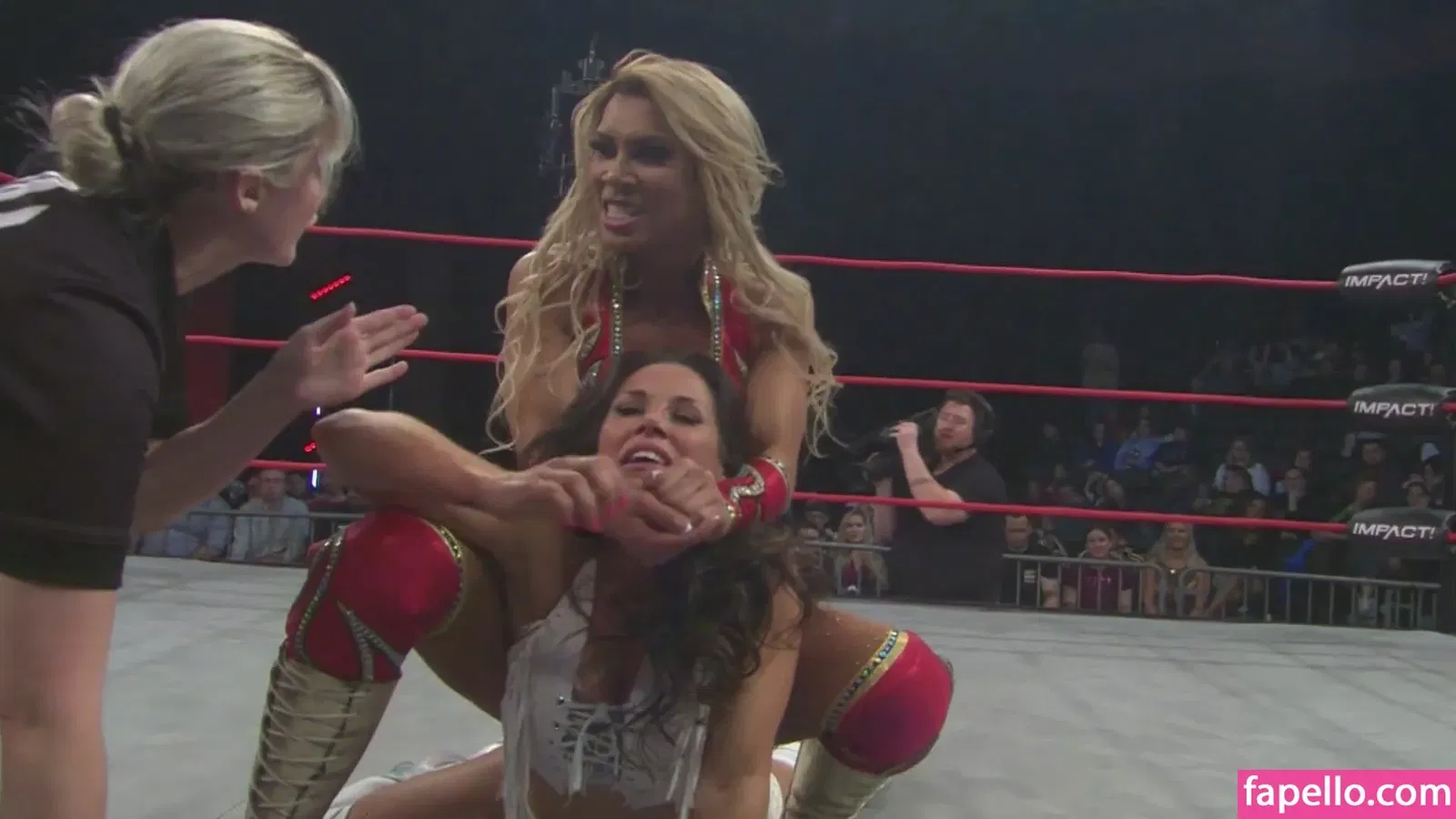 Mickie James Onlyfans Photo Gallery 