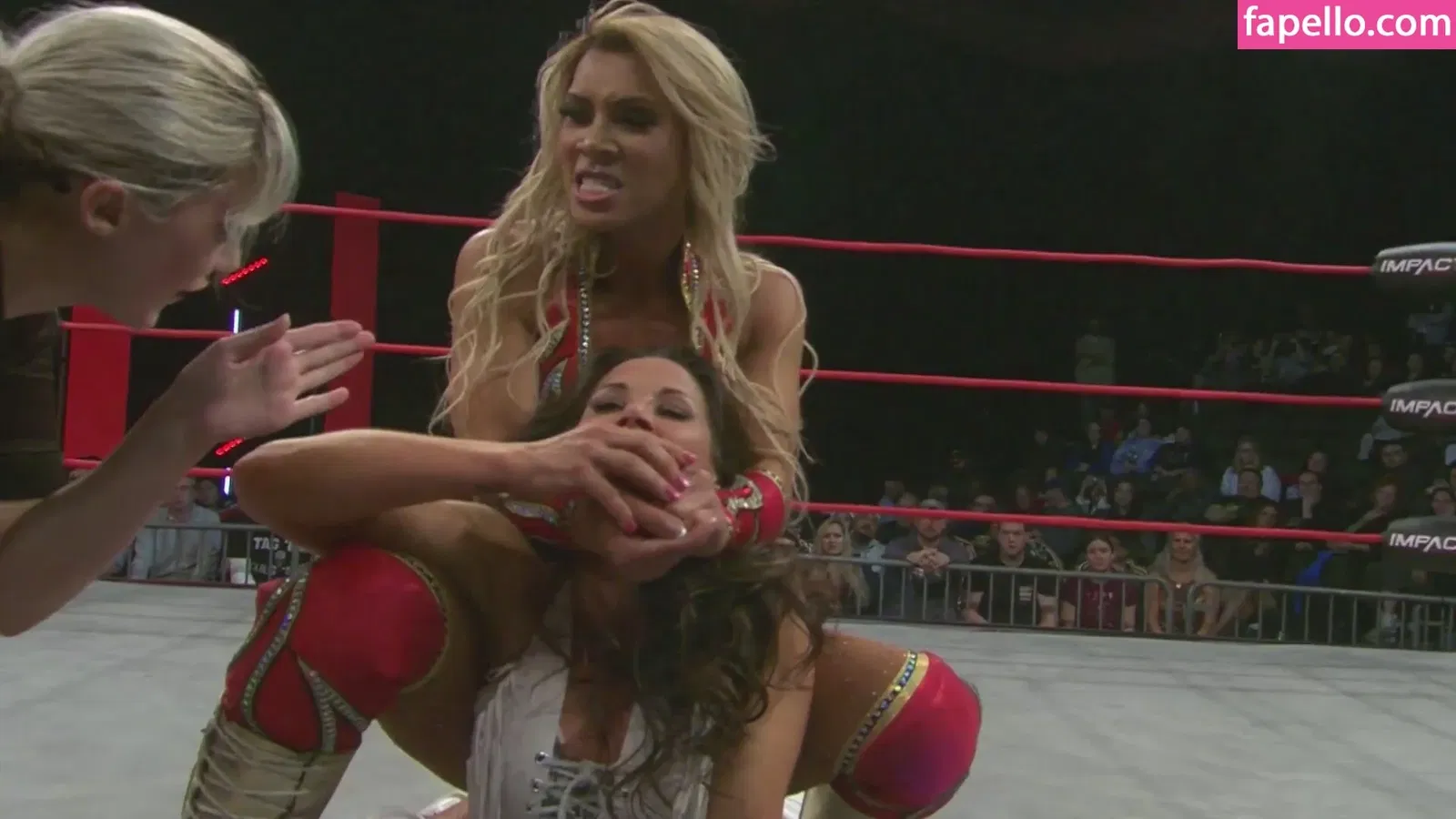 Mickie James Onlyfans Photo Gallery 