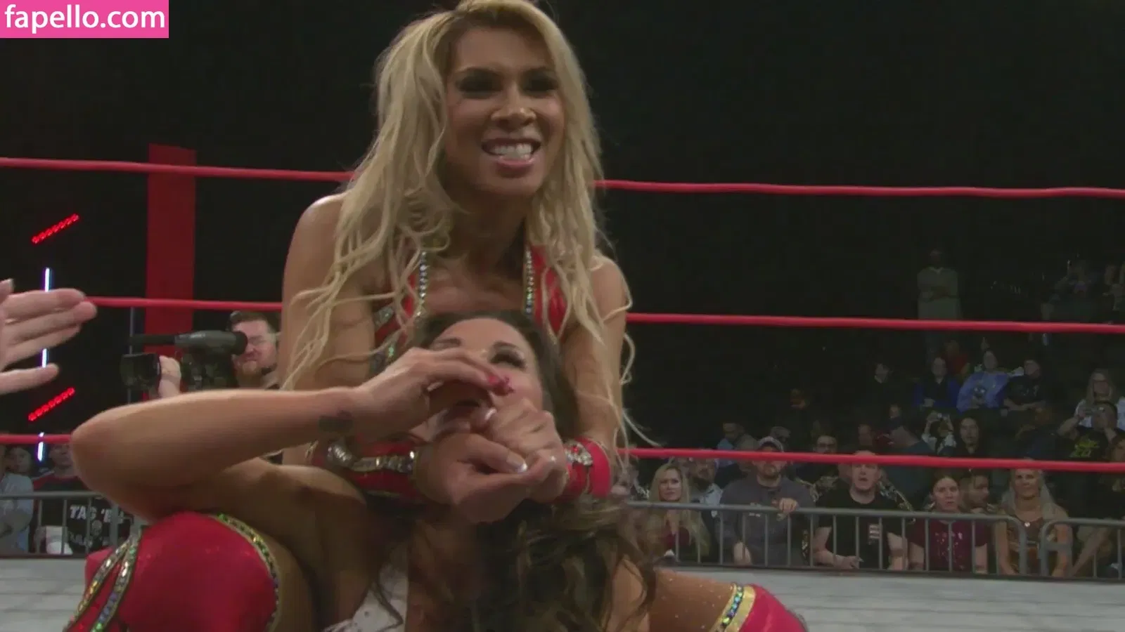 Mickie James Onlyfans Photo Gallery 