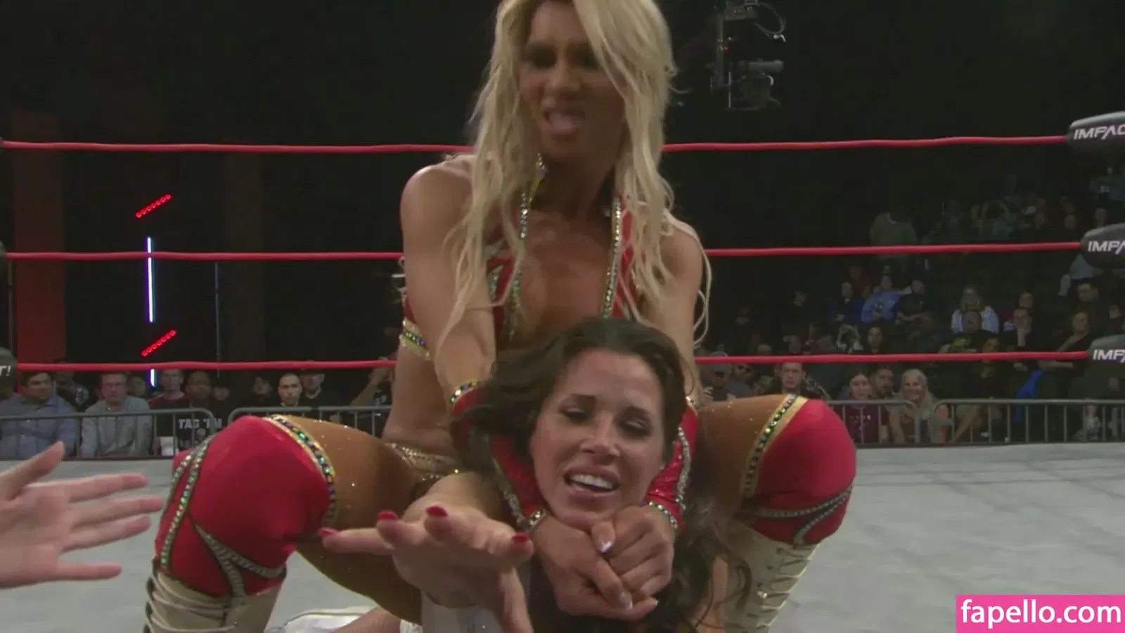 Mickie James Onlyfans Photo Gallery 