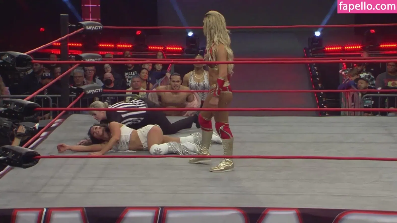 Mickie James Onlyfans Photo Gallery 