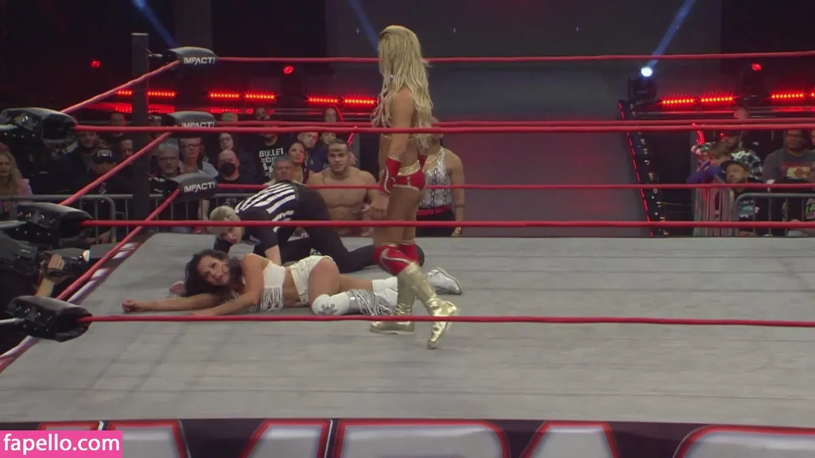 Mickie James Onlyfans Photo Gallery 