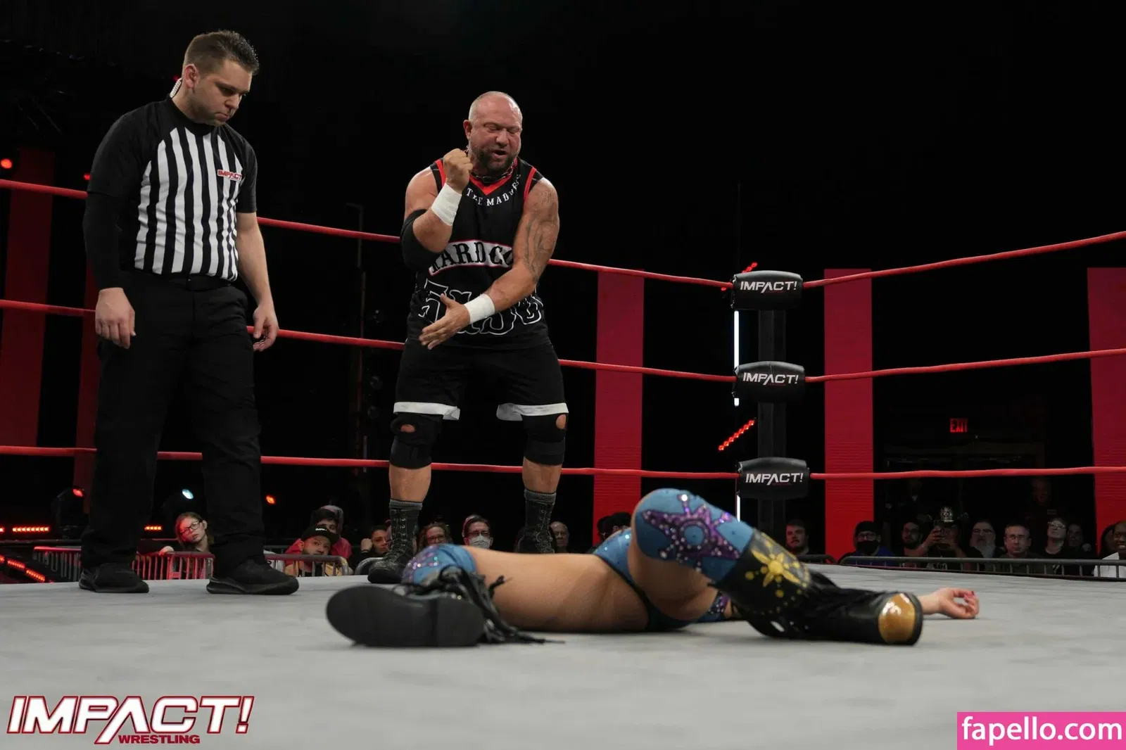 Mickie James Onlyfans Photo Gallery 