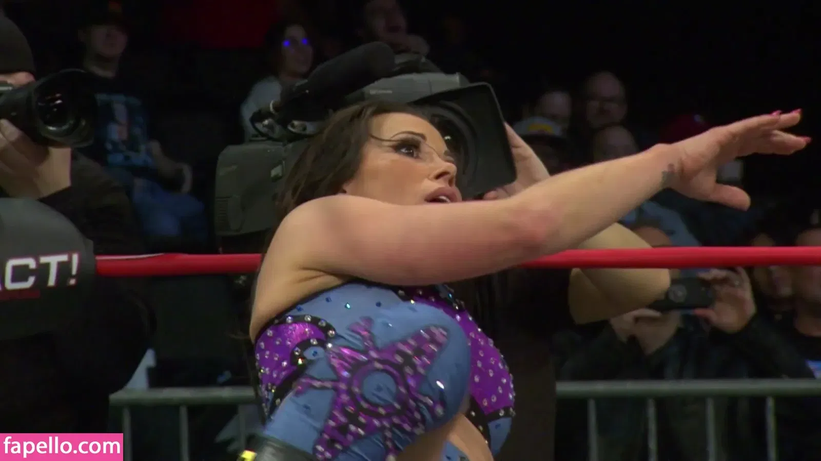 Mickie James Onlyfans Photo Gallery 