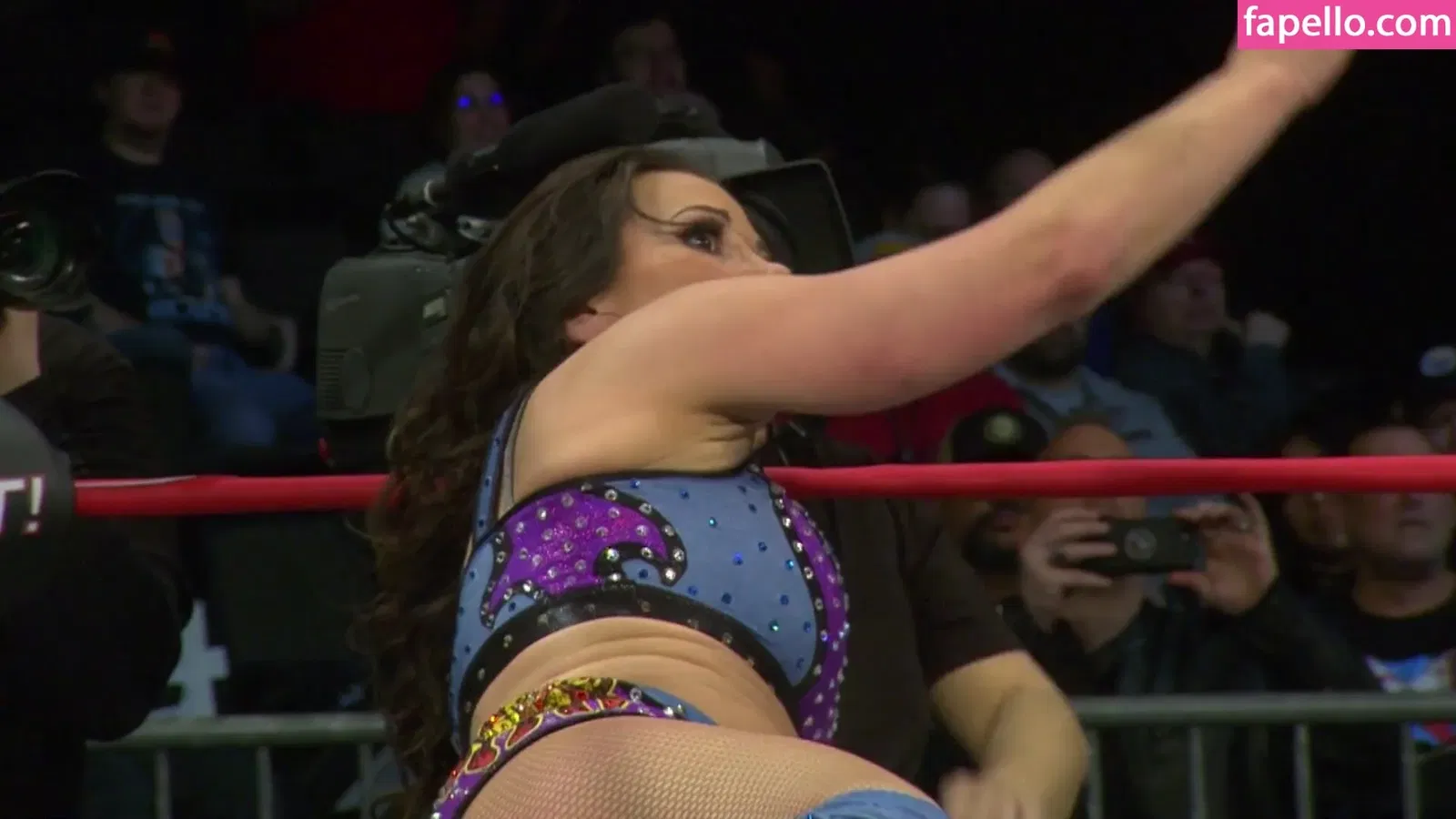 Mickie James Onlyfans Photo Gallery 