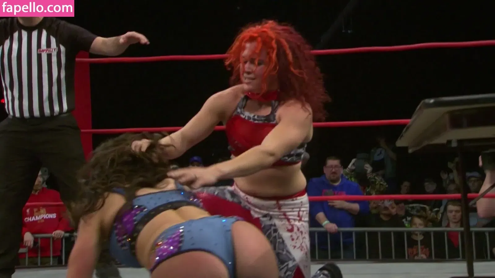 Mickie James Onlyfans Photo Gallery 