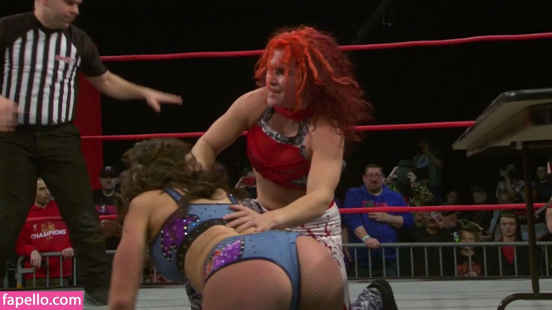 Mickie James Onlyfans Photo Gallery 