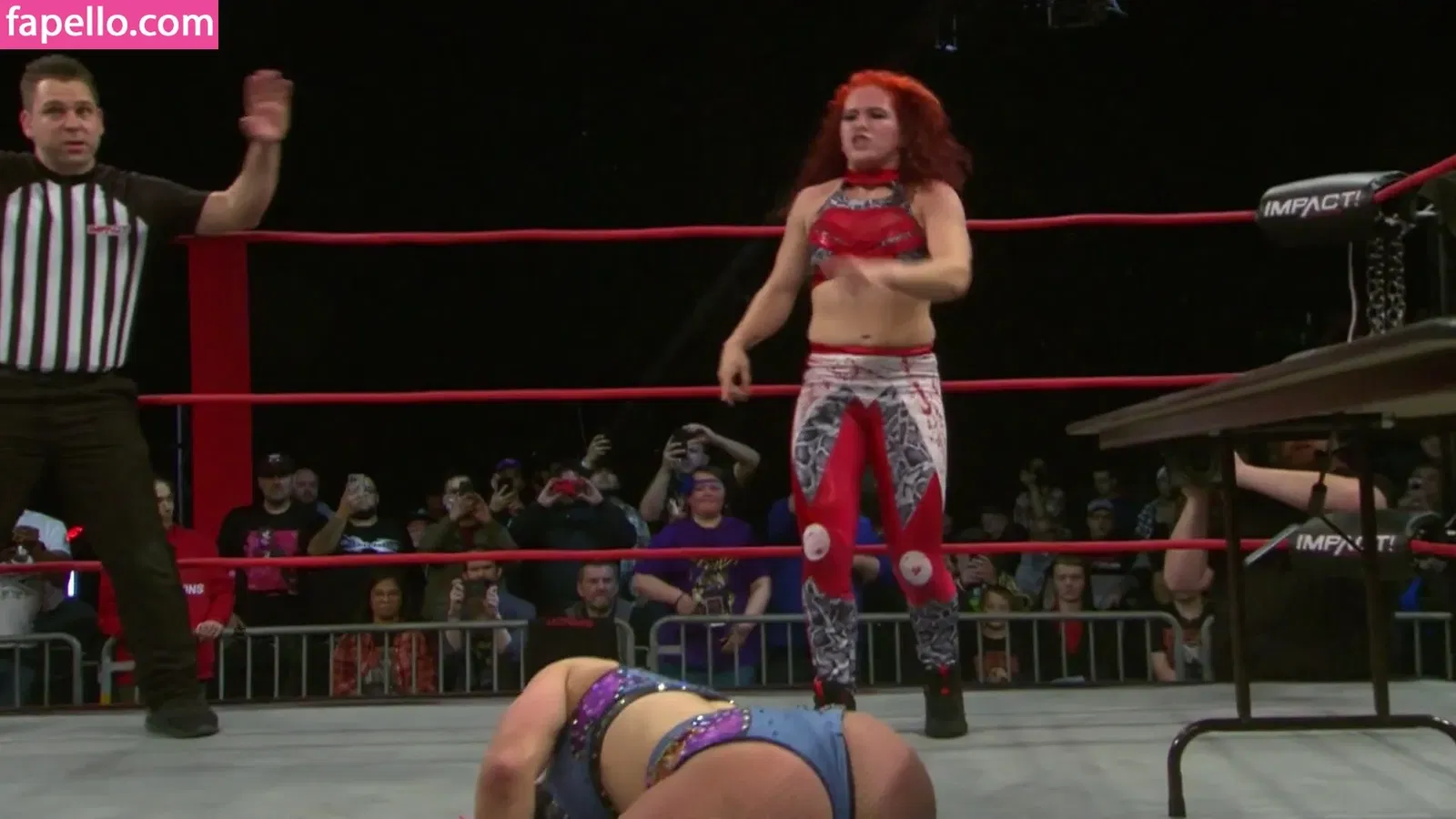 Mickie James Onlyfans Photo Gallery 