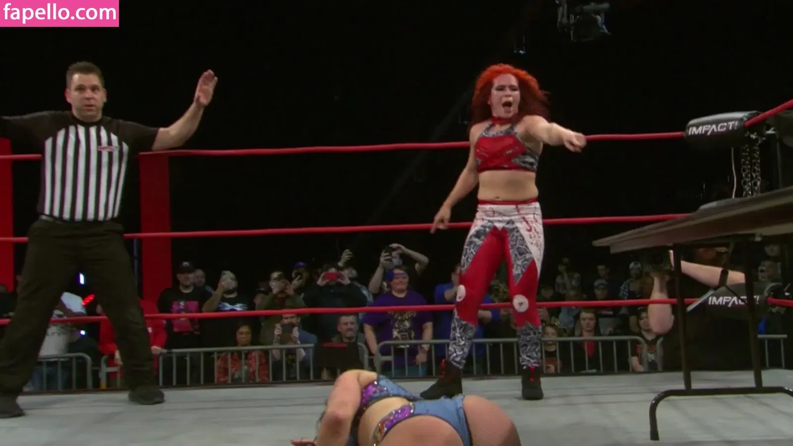 Mickie James Onlyfans Photo Gallery 