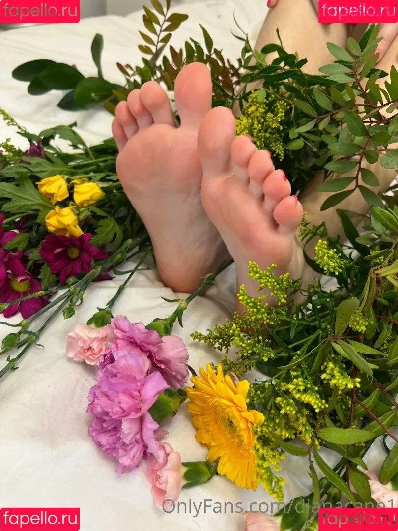 Dianacane1 Onlyfans Photo Gallery 