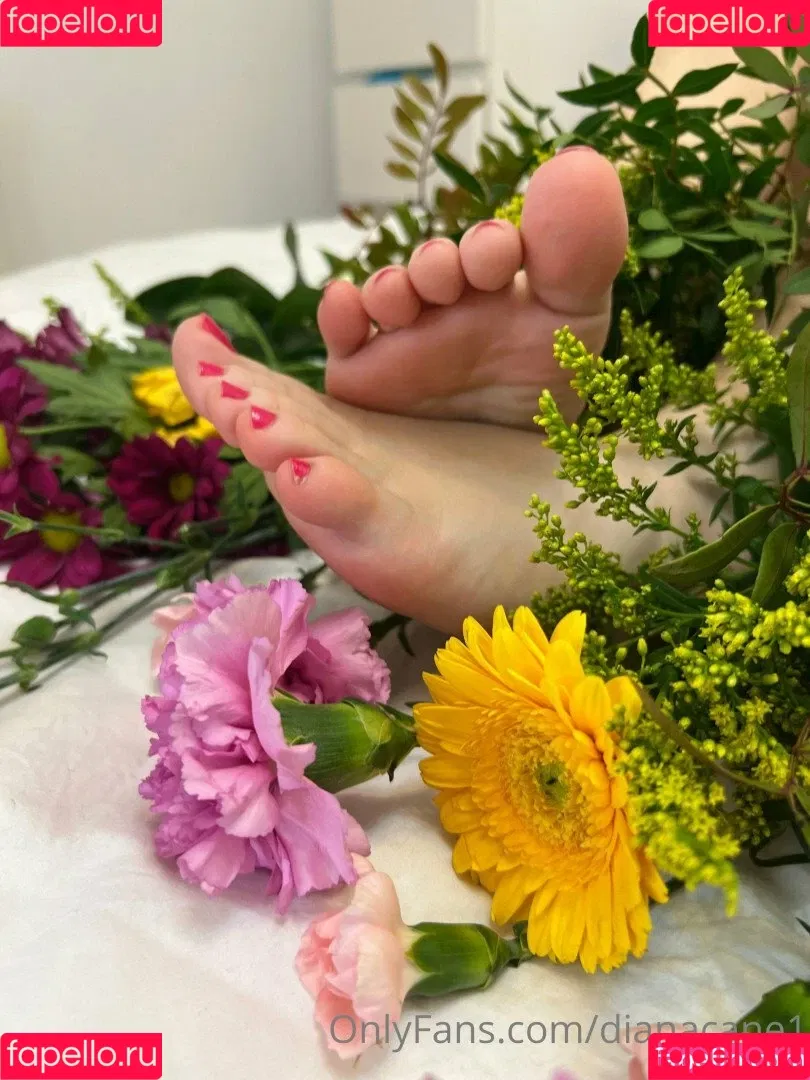 Dianacane1 Onlyfans Photo Gallery 