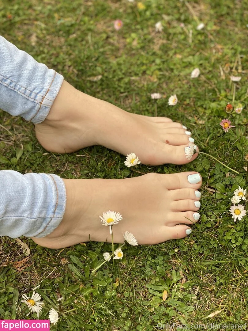 Dianacane1 Onlyfans Photo Gallery 