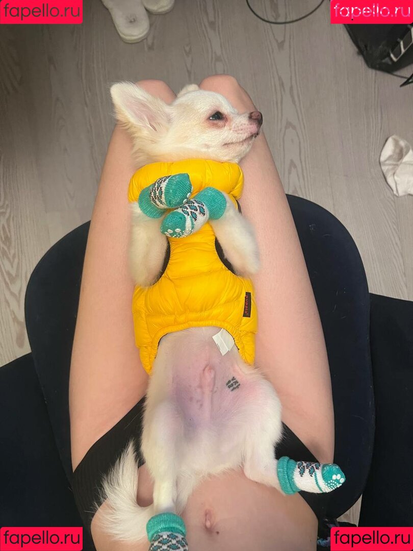 Fasoollka Onlyfans Photo Gallery 