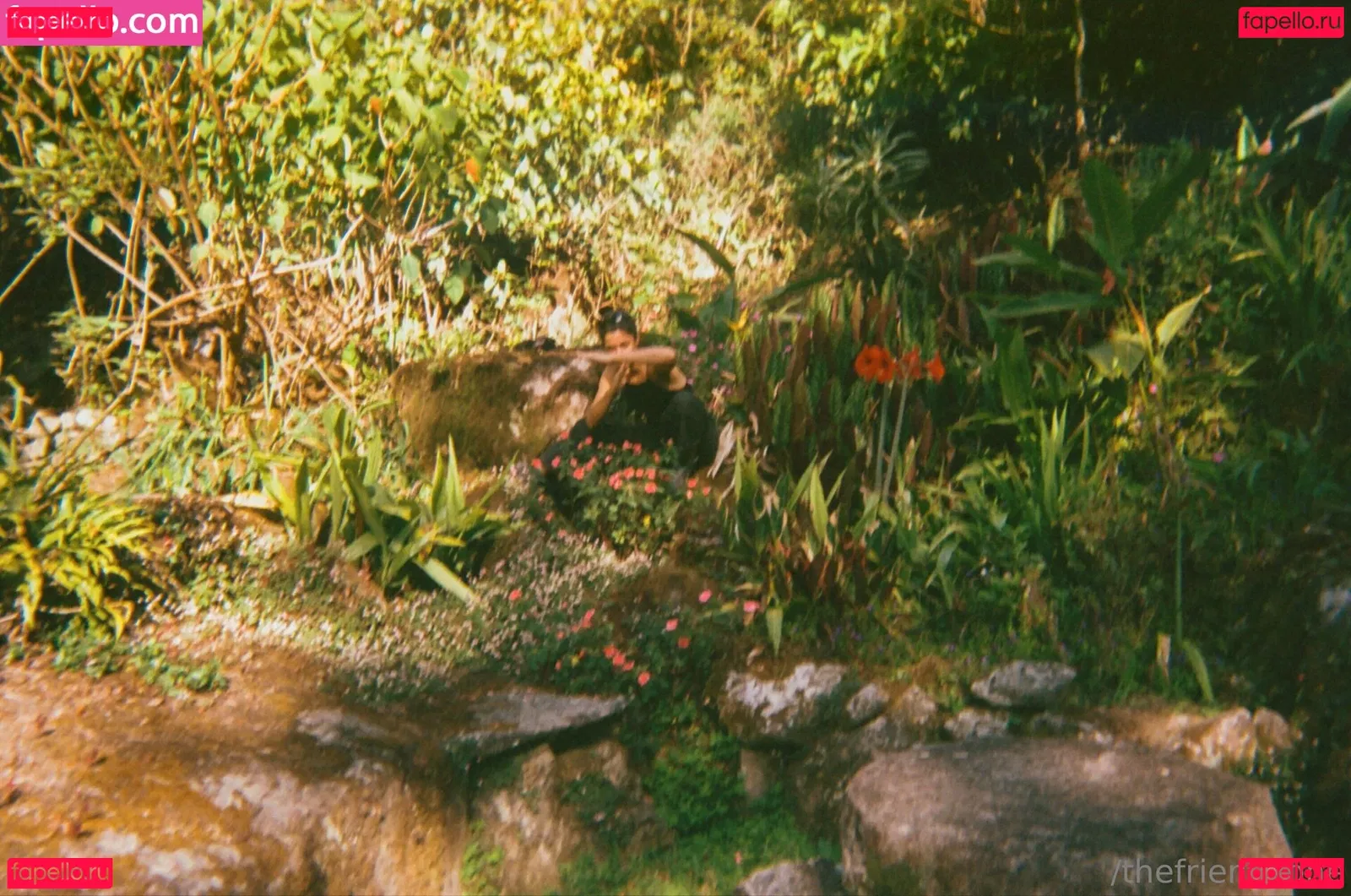 thefriendzone Onlyfans Photo Gallery 