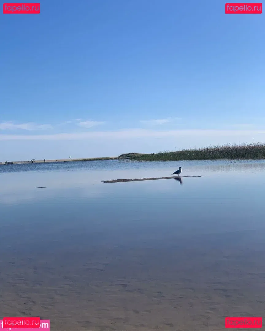 Nina-chi Onlyfans Photo Gallery 