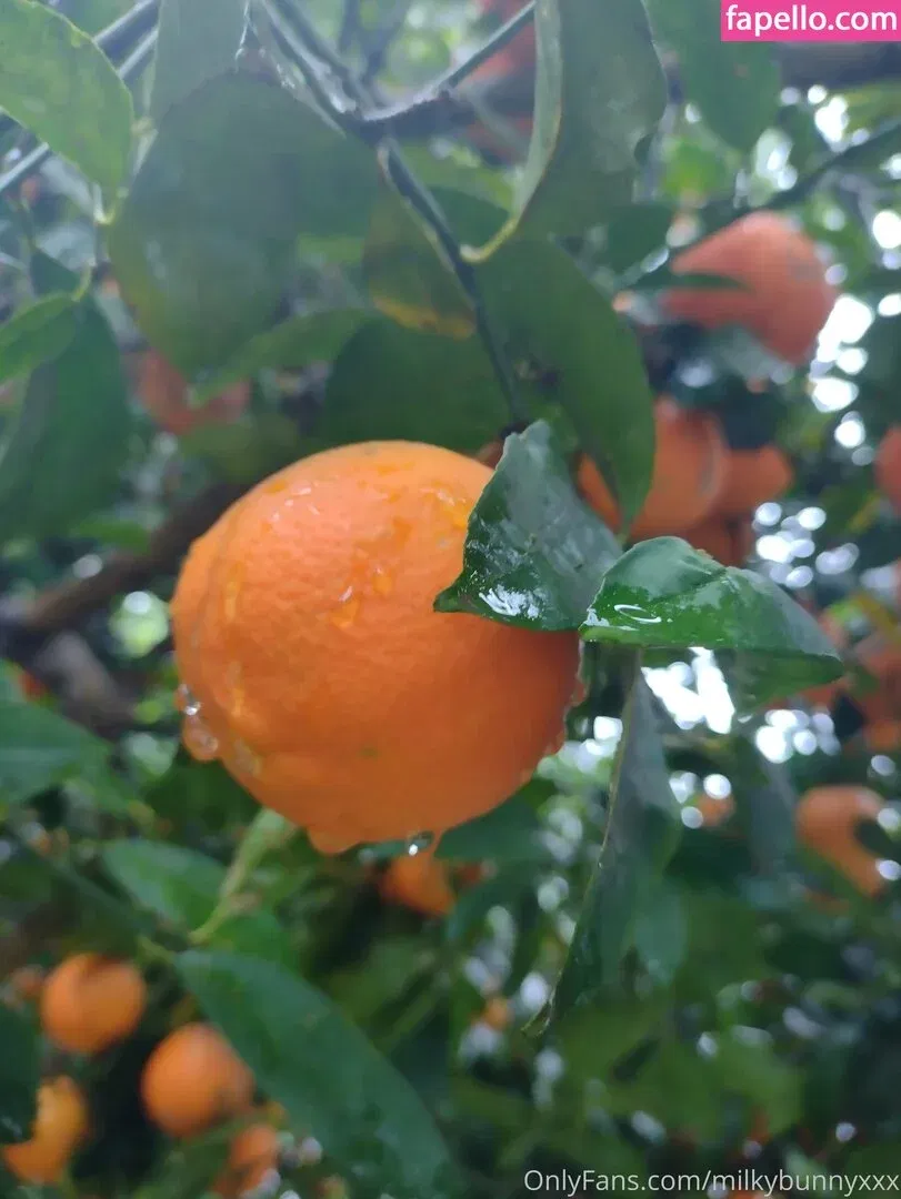 HairyAngela Onlyfans Photo Gallery 