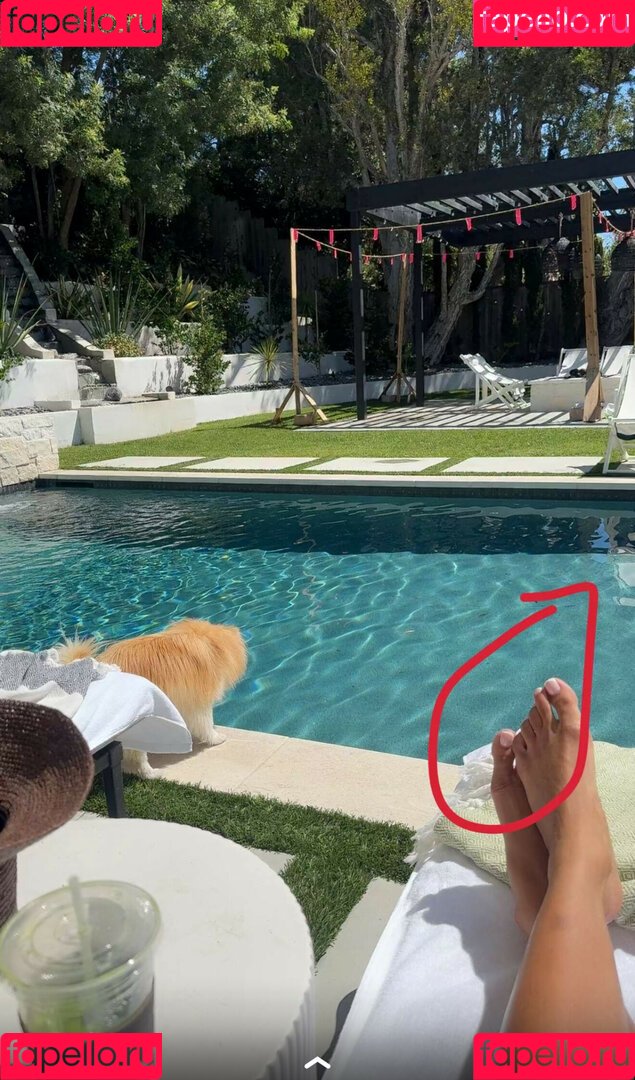 Teala Dunn Onlyfans Photo Gallery 