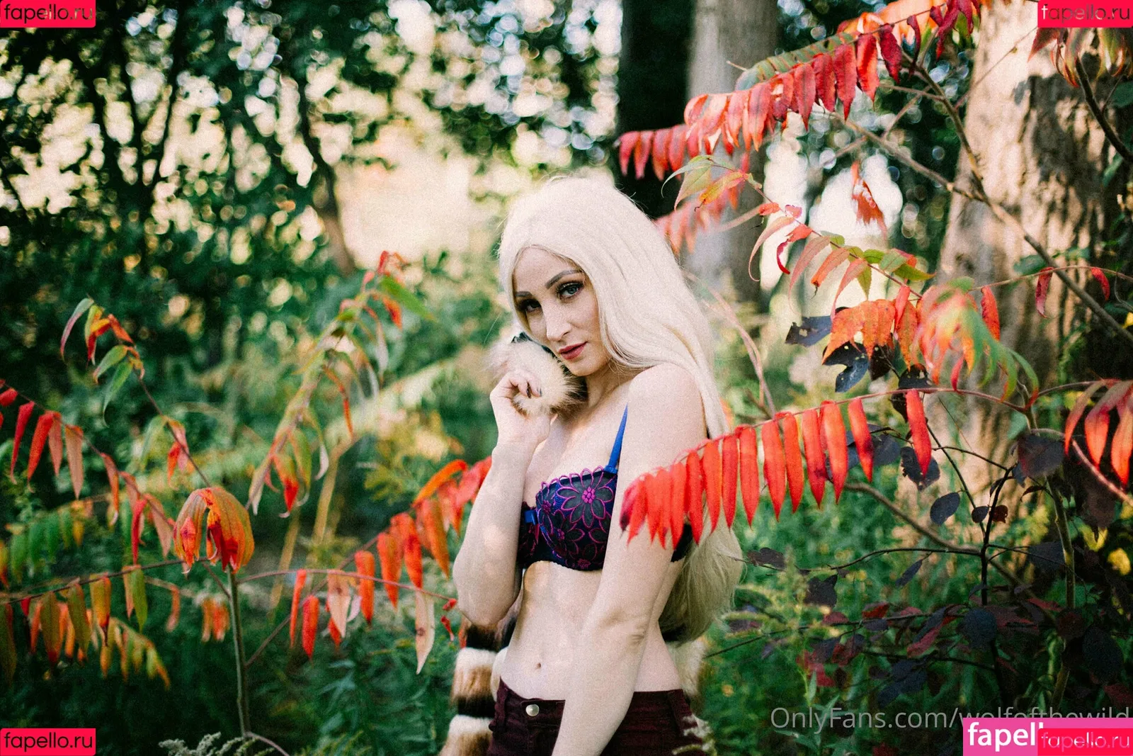 wolfofthewild Onlyfans Photo Gallery 
