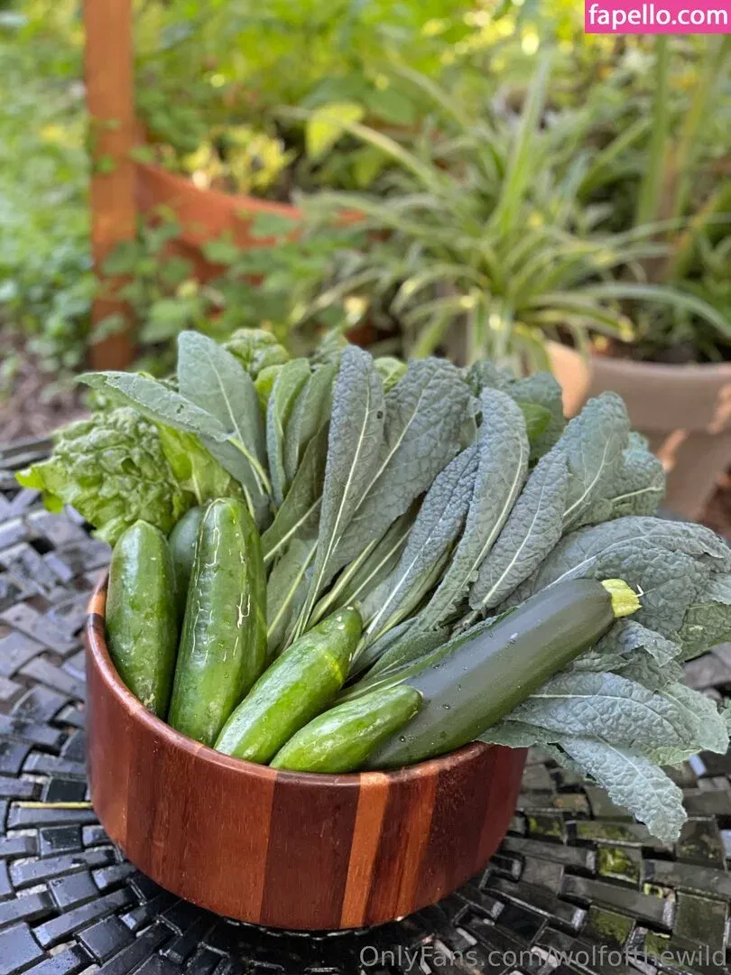 wolfofthewild Onlyfans Photo Gallery 