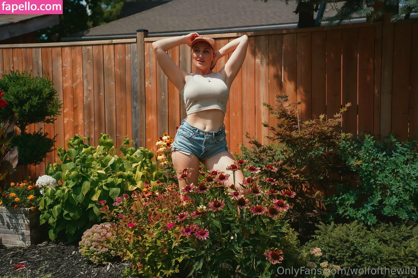 wolfofthewild Onlyfans Photo Gallery 