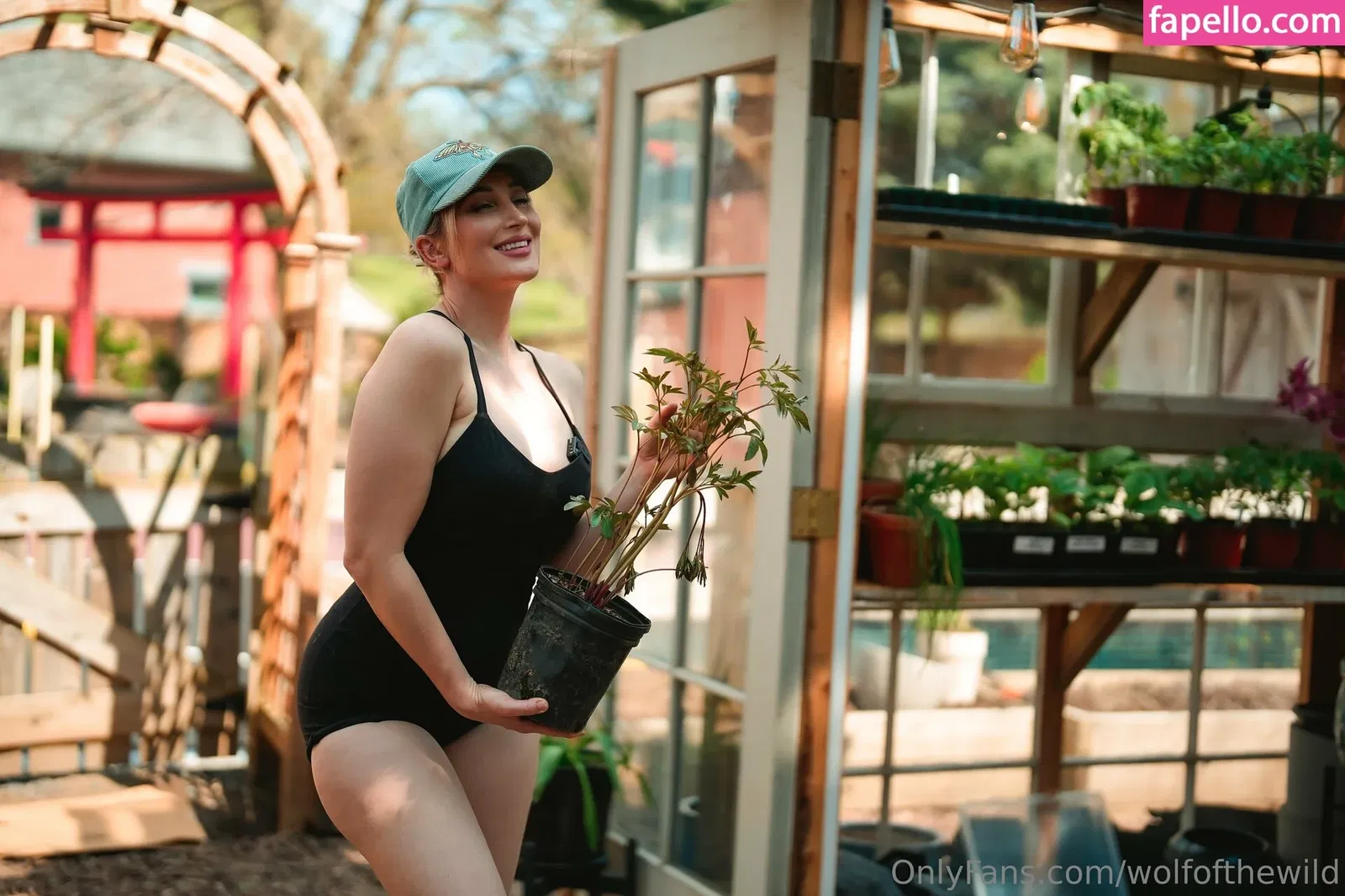 wolfofthewild Onlyfans Photo Gallery 