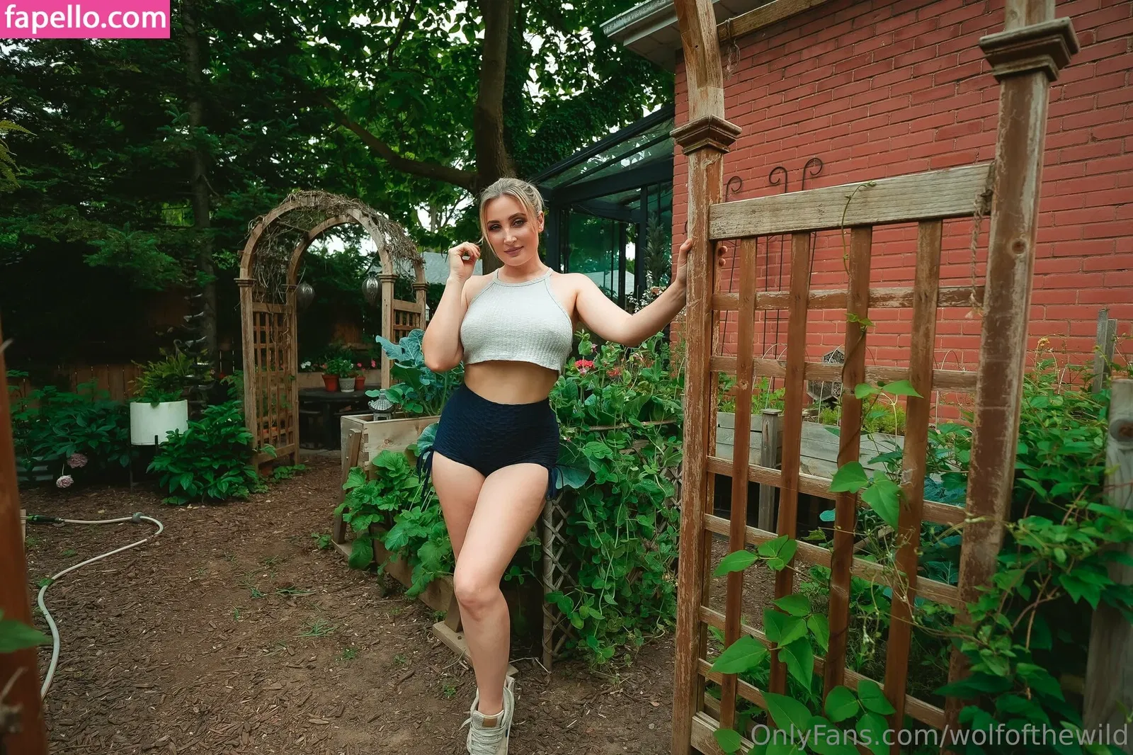 wolfofthewild Onlyfans Photo Gallery 