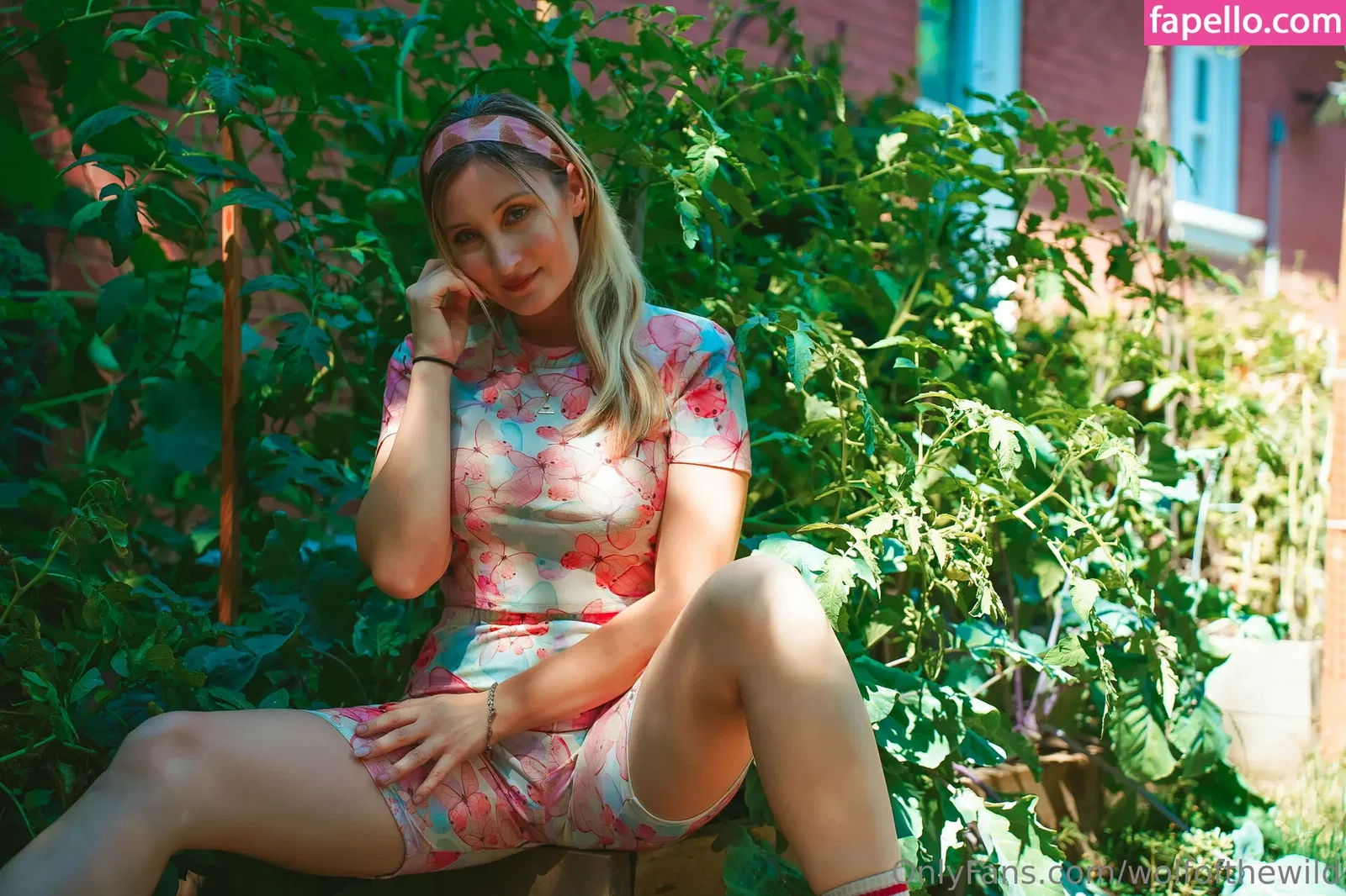 wolfofthewild Onlyfans Photo Gallery 