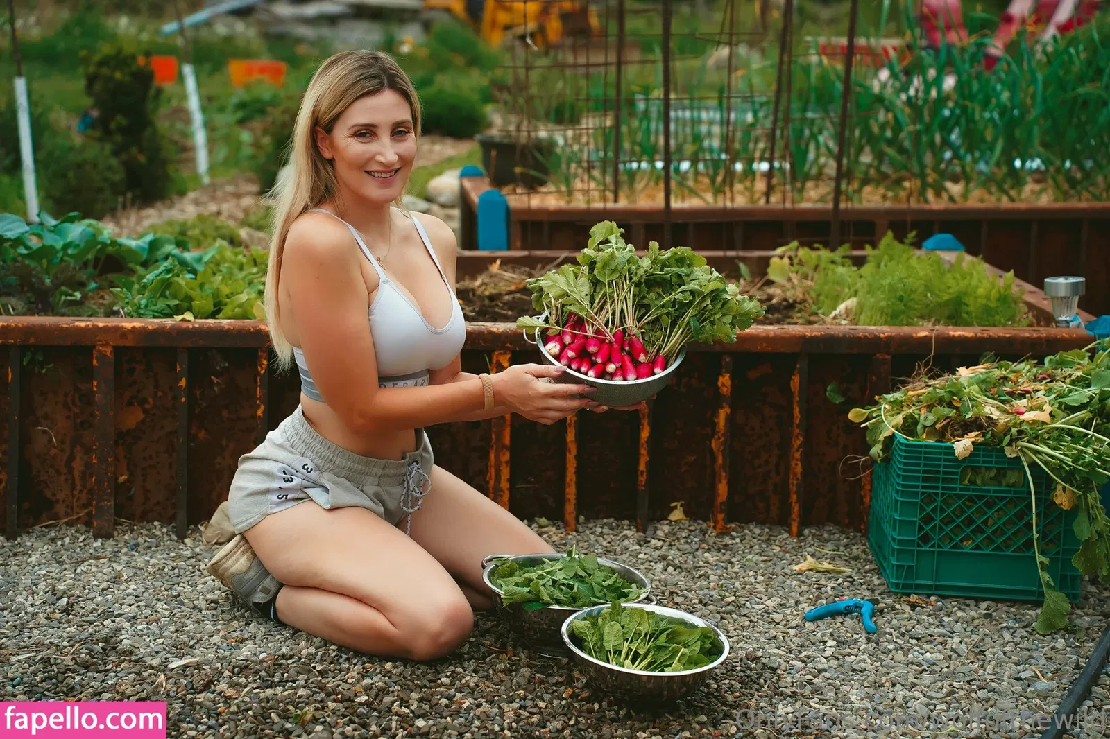 wolfofthewild Onlyfans Photo Gallery 