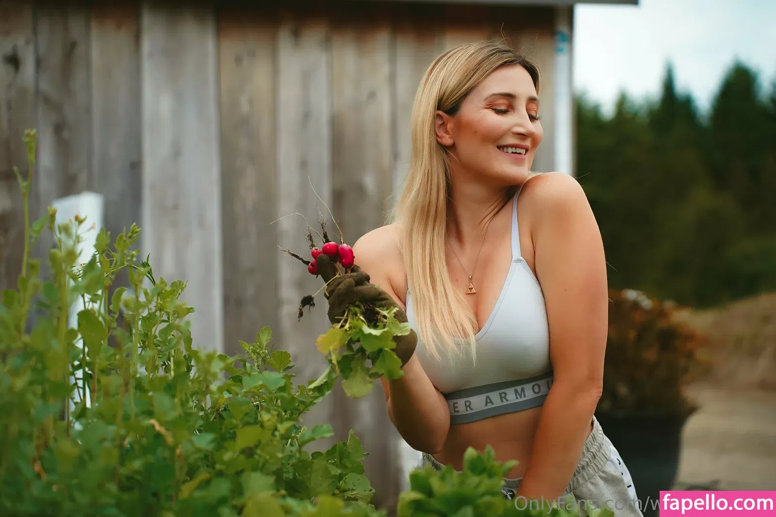 wolfofthewild Onlyfans Photo Gallery 