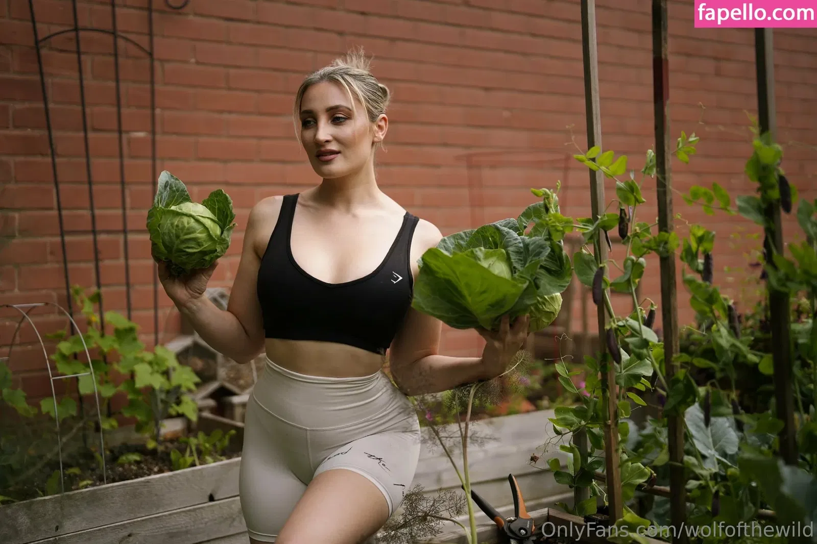 wolfofthewild Onlyfans Photo Gallery 