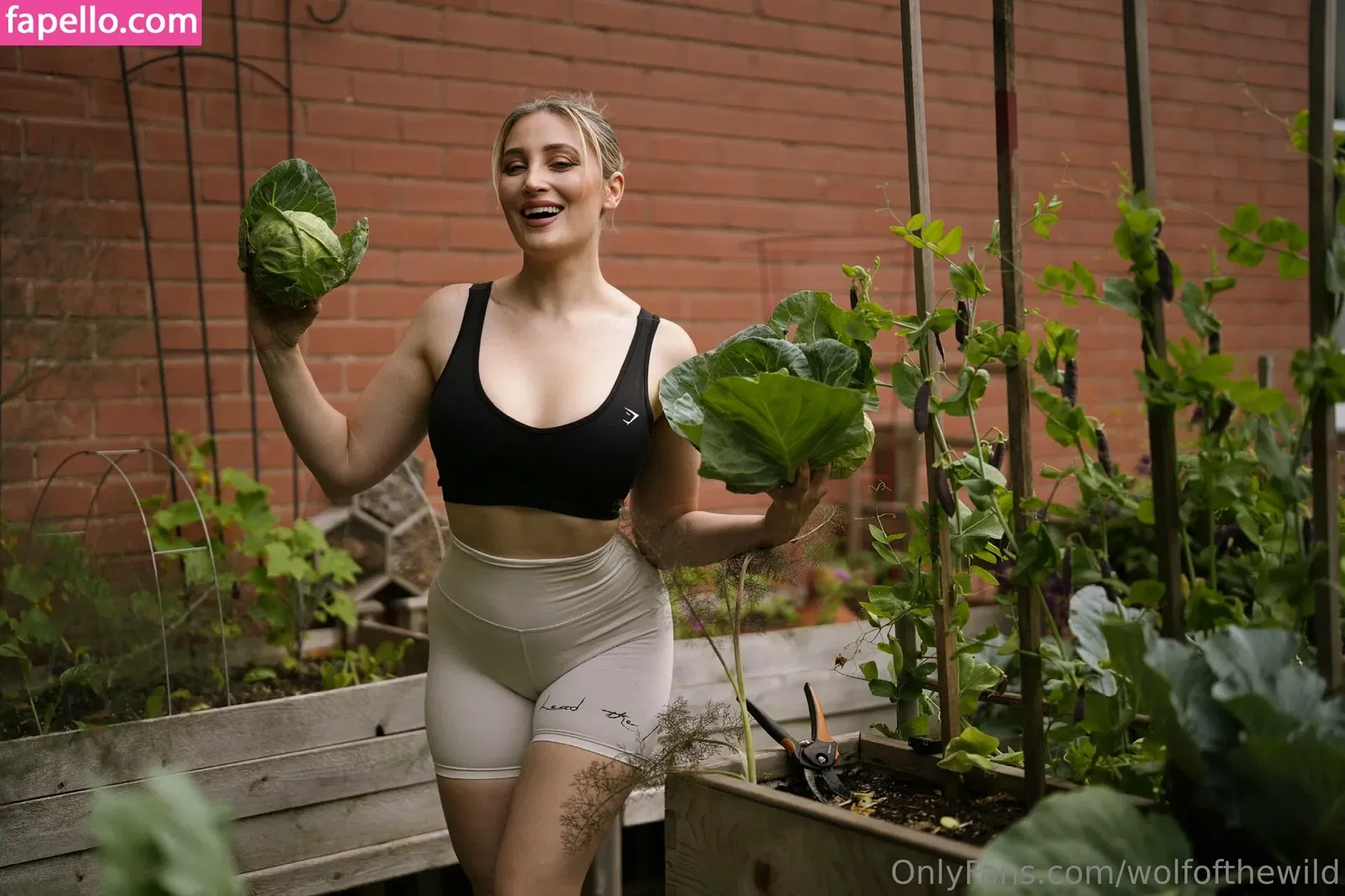 wolfofthewild Onlyfans Photo Gallery 