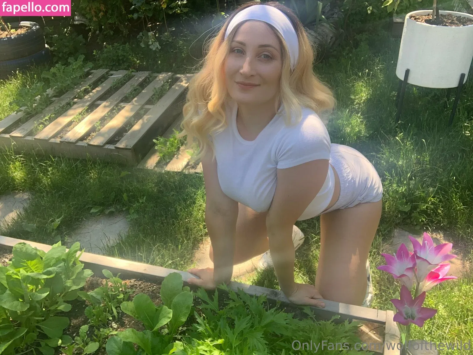 wolfofthewild Onlyfans Photo Gallery 