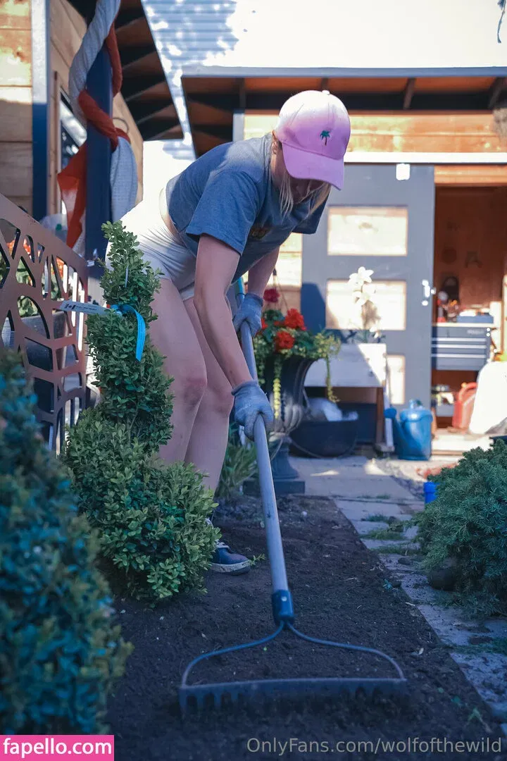 wolfofthewild Onlyfans Photo Gallery 