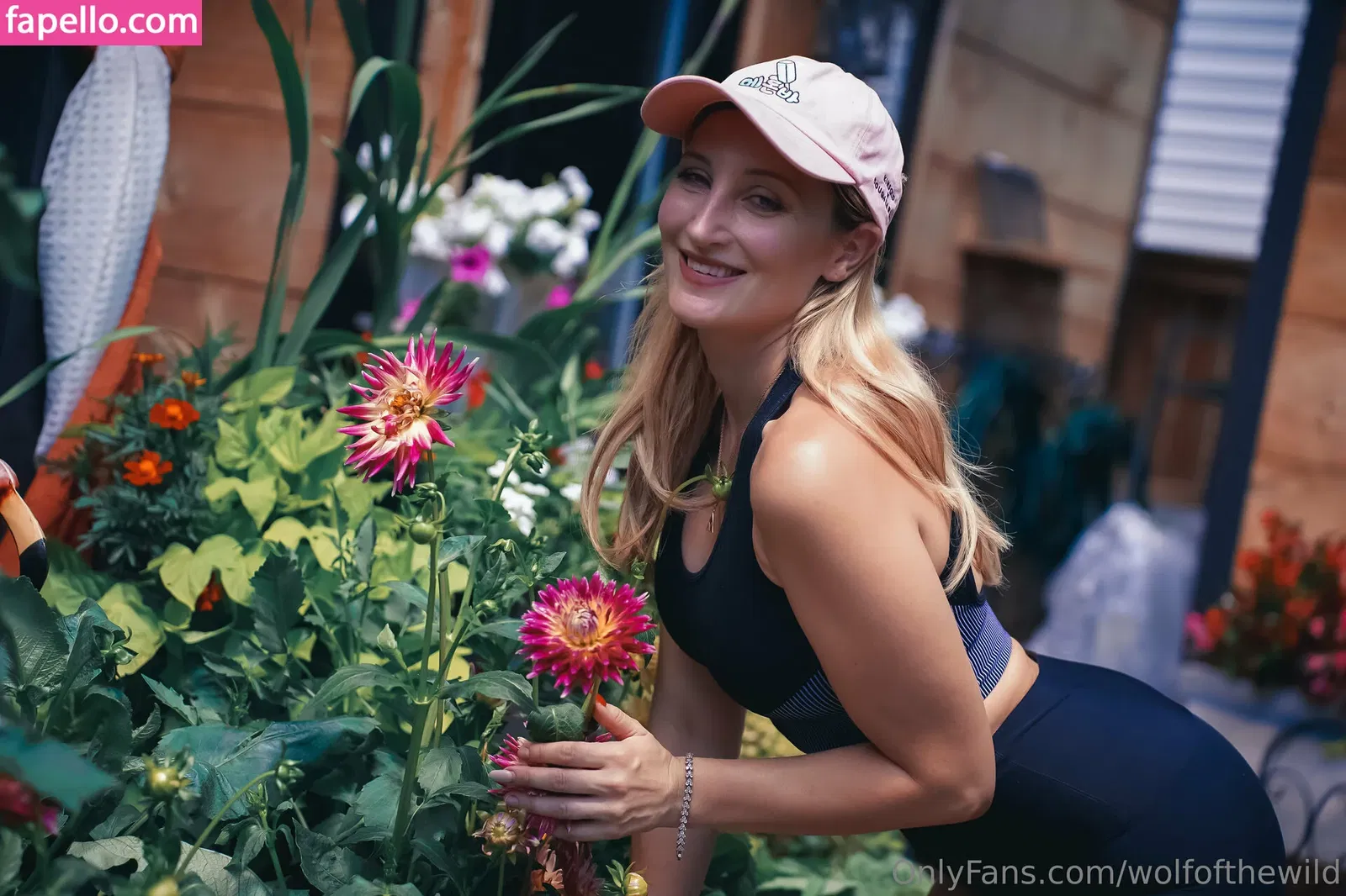 wolfofthewild Onlyfans Photo Gallery 