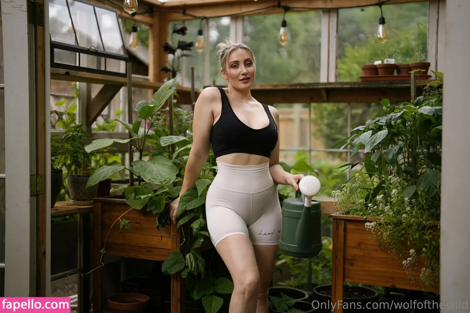 wolfofthewild Onlyfans Photo Gallery 