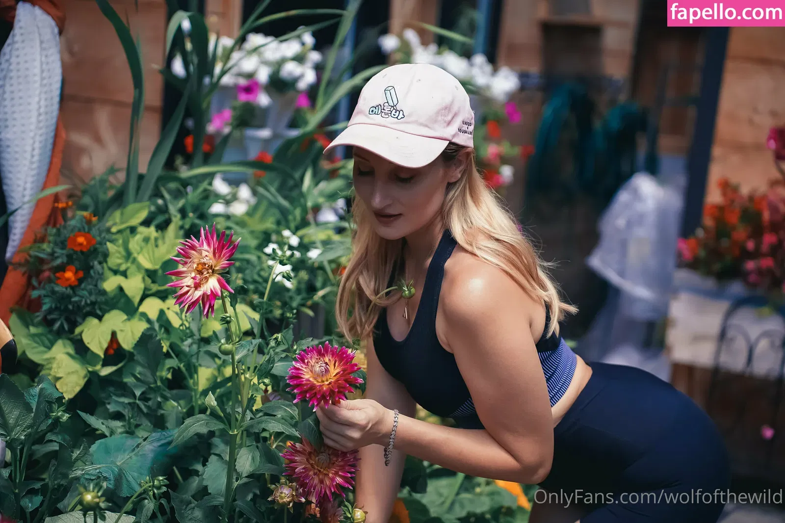 wolfofthewild Onlyfans Photo Gallery 