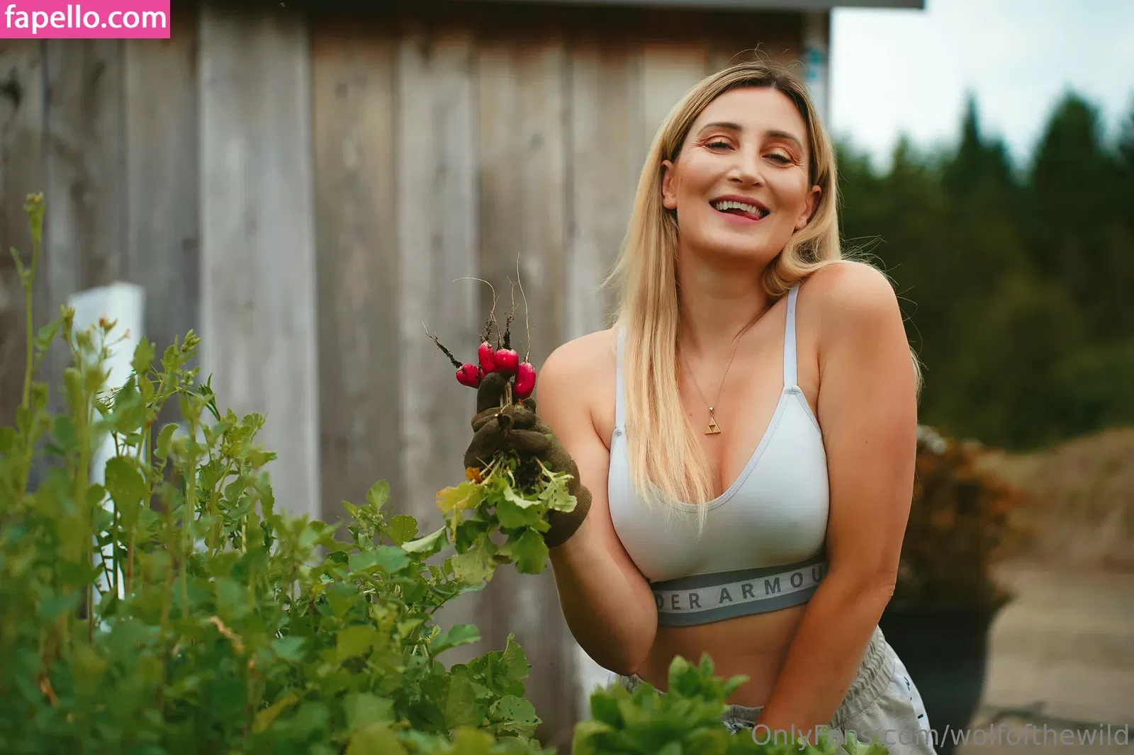 wolfofthewild Onlyfans Photo Gallery 