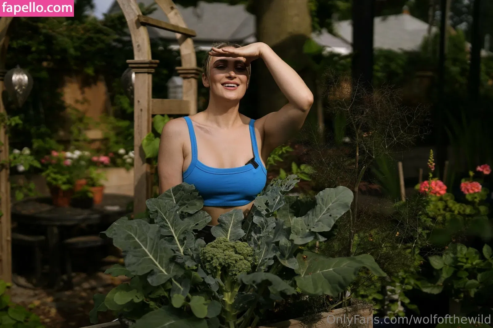 wolfofthewild Onlyfans Photo Gallery 