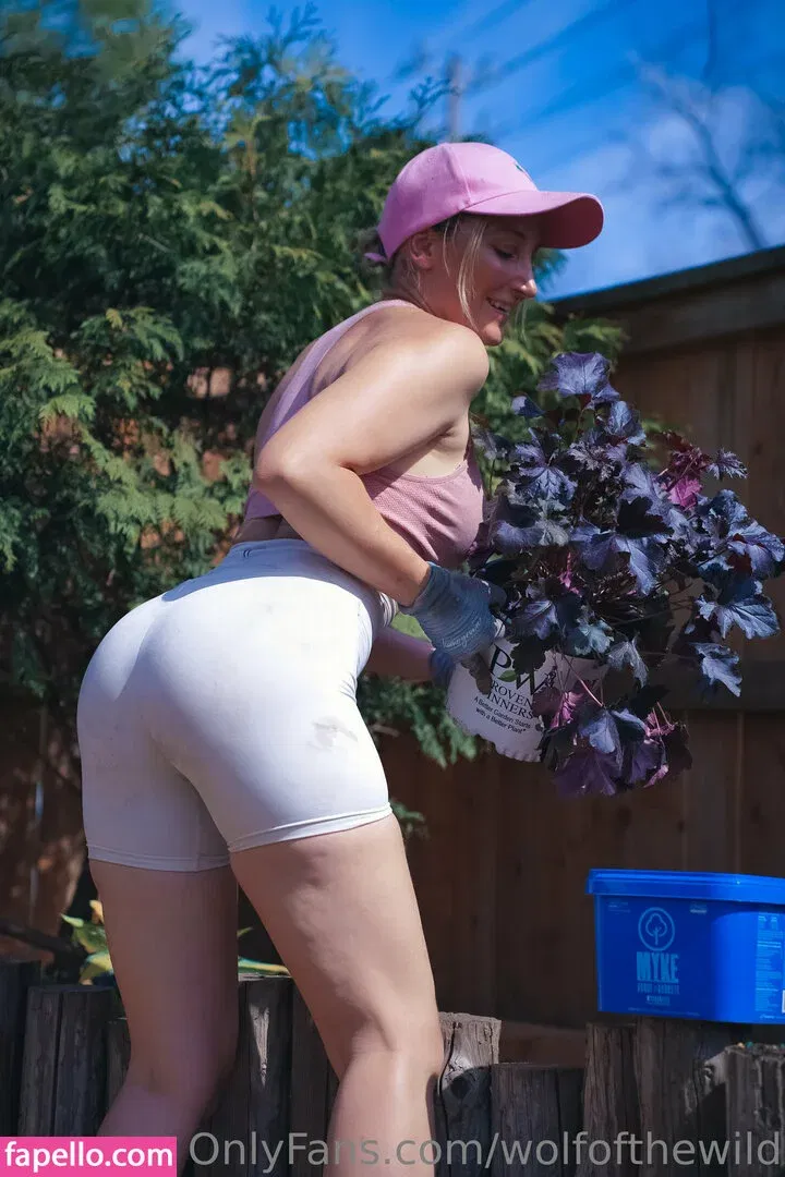 wolfofthewild Onlyfans Photo Gallery 