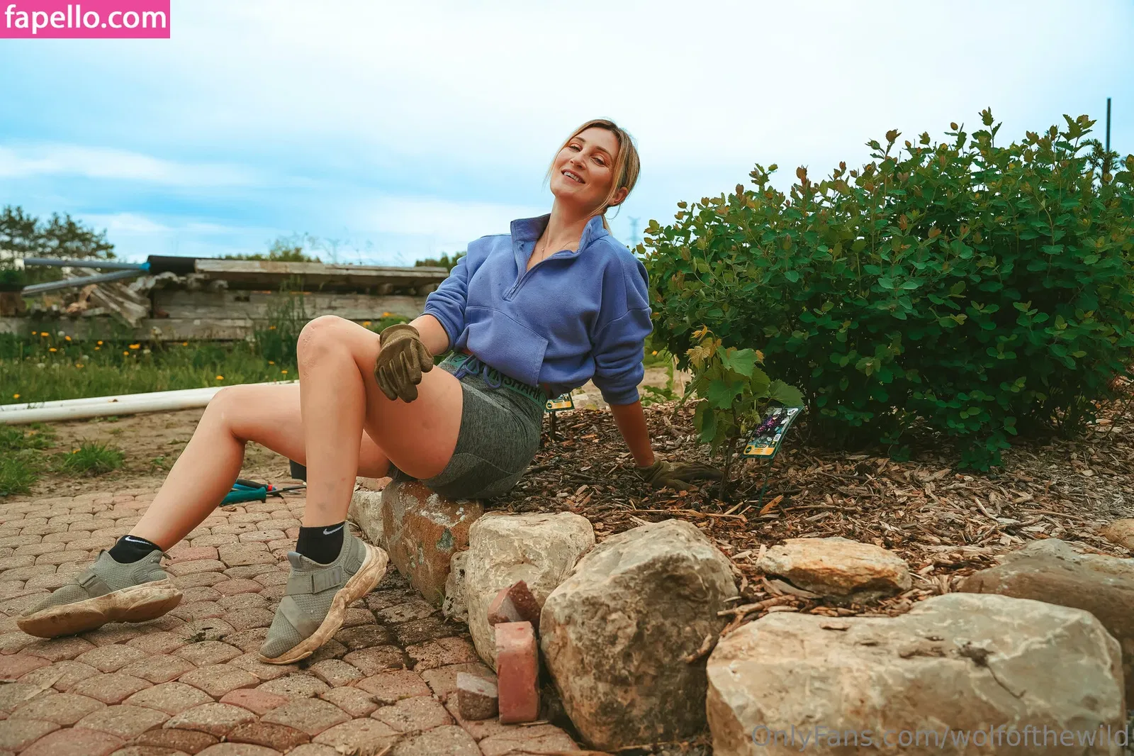 wolfofthewild Onlyfans Photo Gallery 