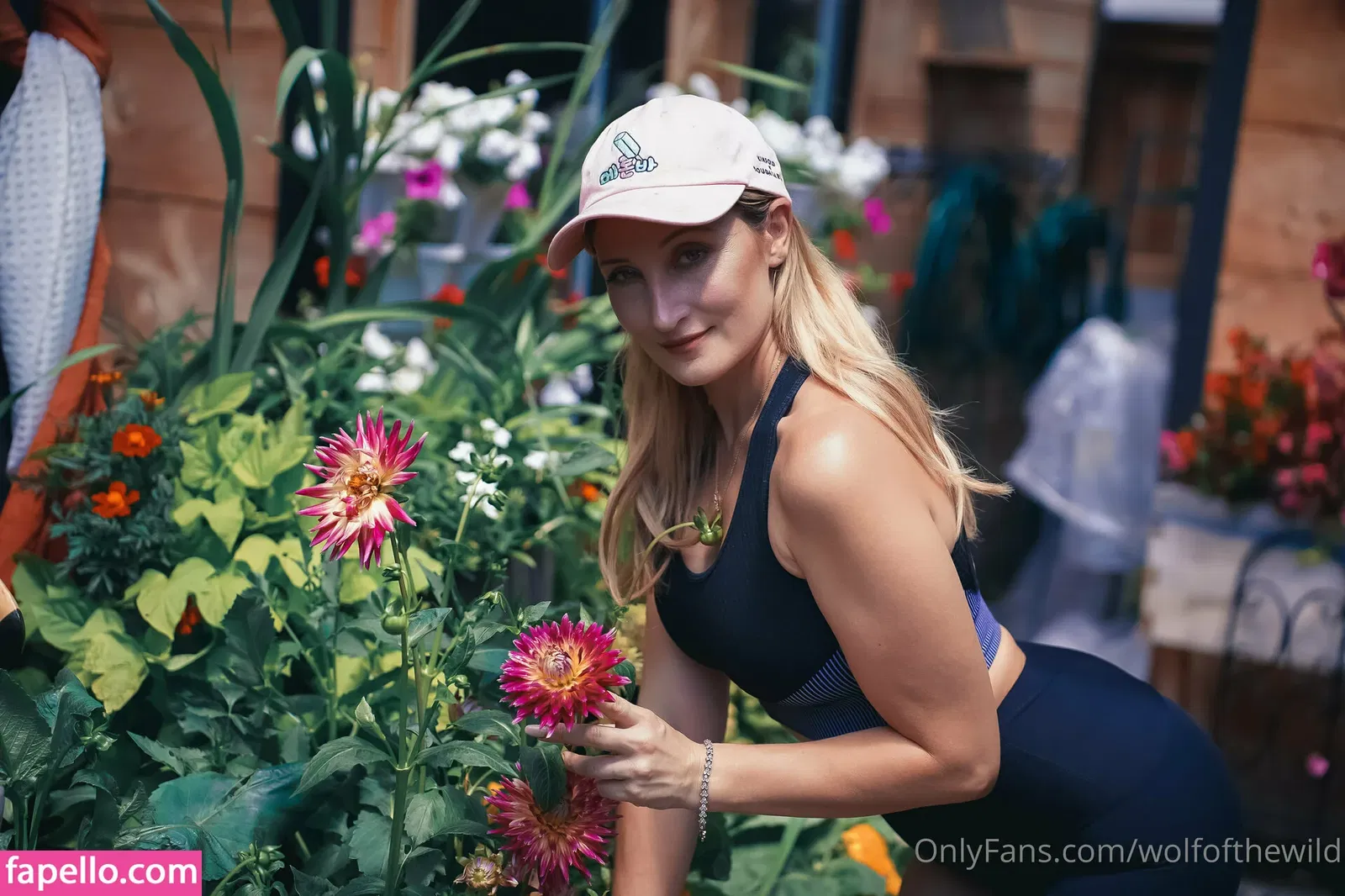 wolfofthewild Onlyfans Photo Gallery 