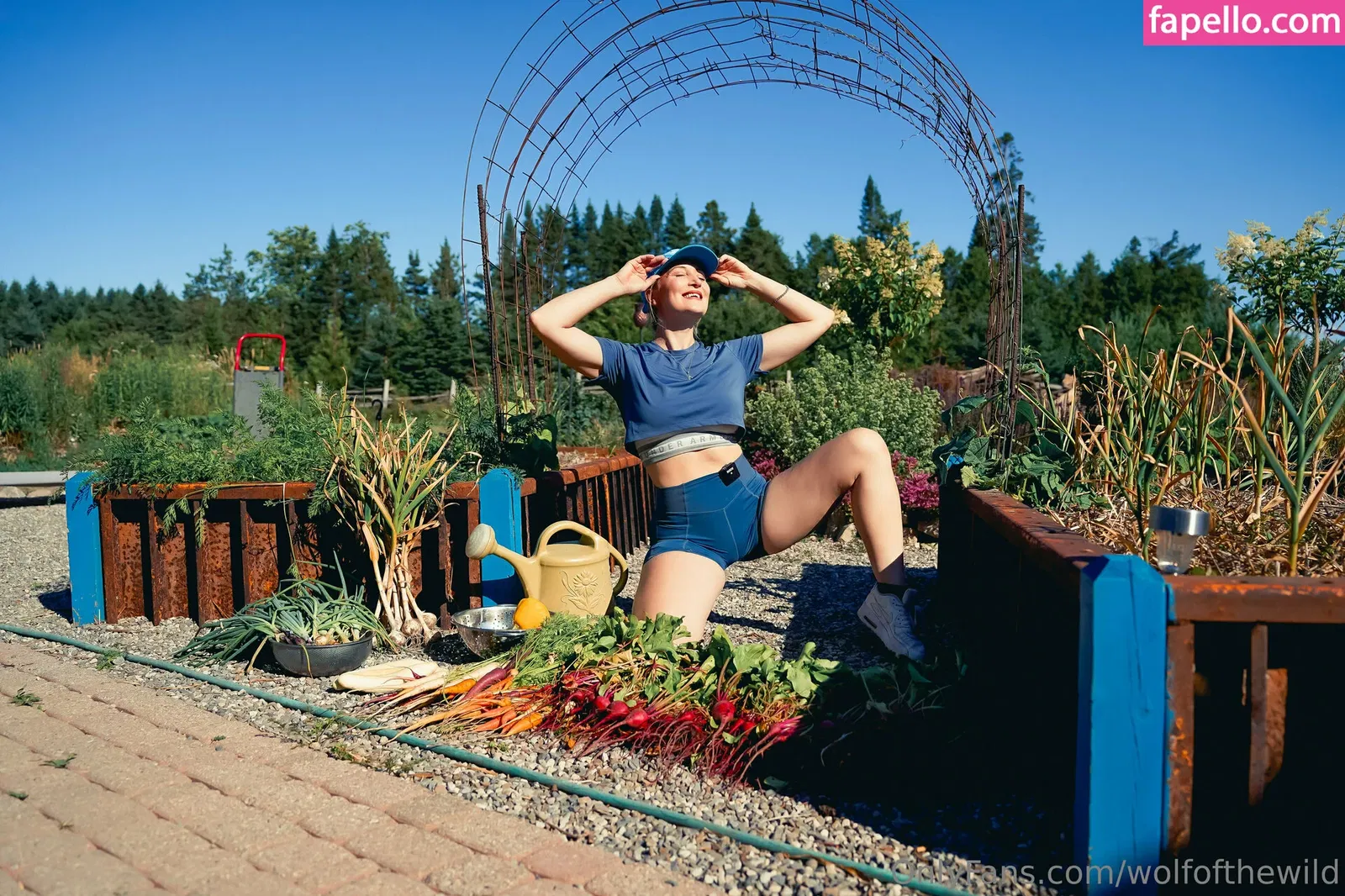 wolfofthewild Onlyfans Photo Gallery 